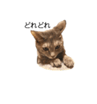 返事してもええんやで（個別スタンプ：11）