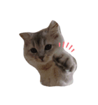 おおつぼふぁみりー（個別スタンプ：3）