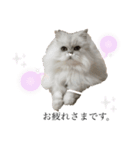 necorhythmix2（個別スタンプ：3）