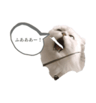 necorhythmix2（個別スタンプ：5）