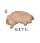 necorhythmix2（個別スタンプ：10）
