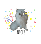 necorhythmix2（個別スタンプ：15）
