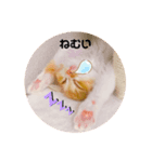 仔猫のちゃーちゃん（個別スタンプ：8）