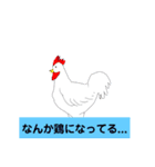 Crazy chicken wow（個別スタンプ：13）