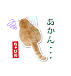 ちゃぴお・2（個別スタンプ：2）