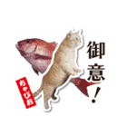 ちゃぴお・2（個別スタンプ：3）