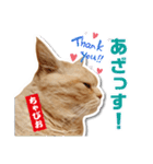 ちゃぴお・2（個別スタンプ：10）