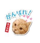 ちゃぴお・2（個別スタンプ：11）