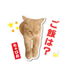 ちゃぴお・2（個別スタンプ：12）