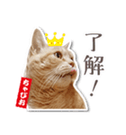ちゃぴお・2（個別スタンプ：14）