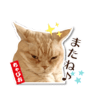 ちゃぴお・2（個別スタンプ：15）