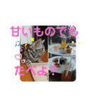 ルナくん1 アメリカンショートヘア 40（個別スタンプ：35）
