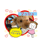 トイプードル（晴明）4（個別スタンプ：21）