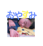 みやふぁみりー（個別スタンプ：5）