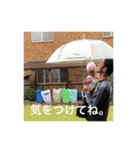 みやふぁみりー（個別スタンプ：15）