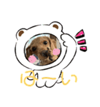 ボクのある日2（個別スタンプ：11）