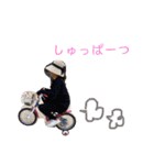 かんなちゃん・さらちゃん3（個別スタンプ：40）