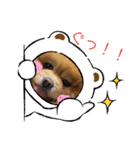 ぽめちっぷ3（個別スタンプ：2）