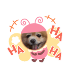 ぽめちっぷ3（個別スタンプ：8）