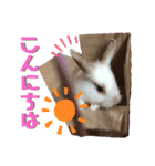 うさぎのパールちゃん（個別スタンプ：9）