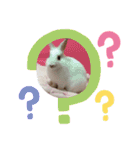 うさぎのパールちゃん（個別スタンプ：12）