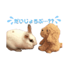 うさぎのパールちゃん（個別スタンプ：13）
