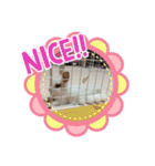 うさぎのパールちゃん（個別スタンプ：14）