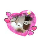 うさぎのパールちゃん（個別スタンプ：15）