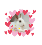 うさぎのパールちゃん（個別スタンプ：16）