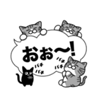 サバ白猫✨敬語・丁寧語・デカ文字✨大和猫（個別スタンプ：37）