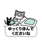 サバ白猫✨敬語・丁寧語・デカ文字✨大和猫（個別スタンプ：40）