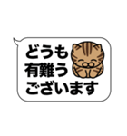 キジトラ猫✨敬語・丁寧語・デカ文字✨大和猫（個別スタンプ：3）