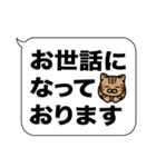 キジトラ猫✨敬語・丁寧語・デカ文字✨大和猫（個別スタンプ：8）