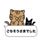 キジトラ猫✨敬語・丁寧語・デカ文字✨大和猫（個別スタンプ：13）