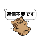 キジトラ猫✨敬語・丁寧語・デカ文字✨大和猫（個別スタンプ：32）