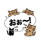 キジトラ猫✨敬語・丁寧語・デカ文字✨大和猫（個別スタンプ：37）