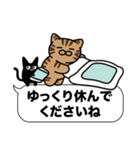 キジトラ猫✨敬語・丁寧語・デカ文字✨大和猫（個別スタンプ：40）