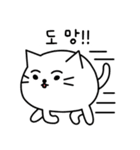 ふかふか猫 (韓国語)（個別スタンプ：2）