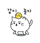 ふかふか猫 (韓国語)（個別スタンプ：6）