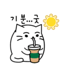 ふかふか猫 (韓国語)（個別スタンプ：19）
