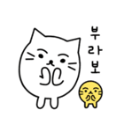 ふかふか猫 (韓国語)（個別スタンプ：24）