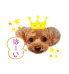 だいすきふぁみりぃすたんぷ（個別スタンプ：1）