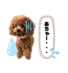 だいすきふぁみりぃすたんぷ（個別スタンプ：2）