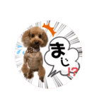 だいすきふぁみりぃすたんぷ（個別スタンプ：3）
