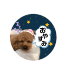 だいすきふぁみりぃすたんぷ（個別スタンプ：5）