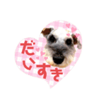 だいすきふぁみりぃすたんぷ（個別スタンプ：8）