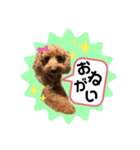 だいすきふぁみりぃすたんぷ（個別スタンプ：9）