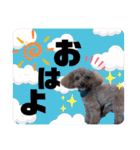 だいすきふぁみりぃすたんぷ（個別スタンプ：11）