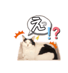 だいすきふぁみりぃすたんぷ（個別スタンプ：14）