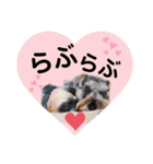だいすきふぁみりぃすたんぷ（個別スタンプ：21）